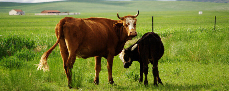 乐竞体育- 乐竞体育官方网站- 乐竞体育APP十位女性十种野心的形状