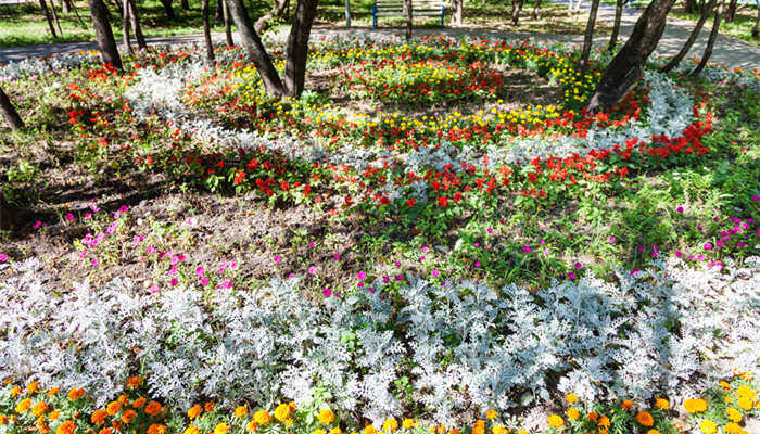 6686体育注册花圃的近义词