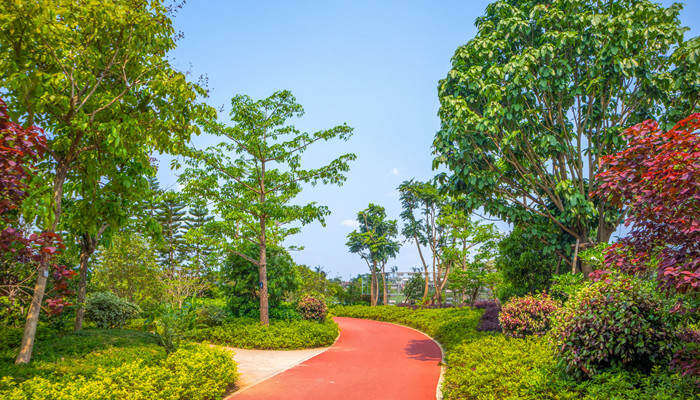 树林公园700.jpg 树林公园700.jpg