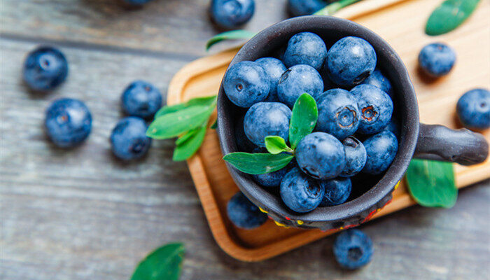 薄霧藍莓苗品種介紹 薄霧藍莓苗品種