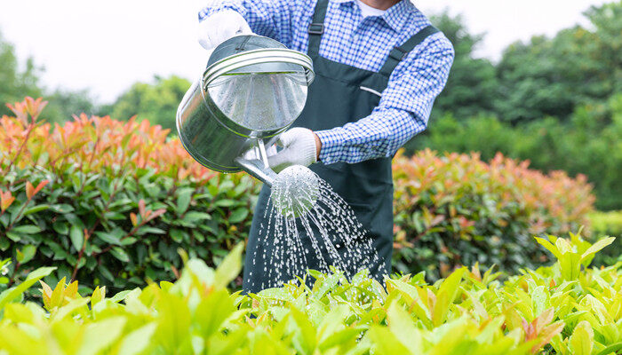 摄图网_501651934_banner_农场园丁提水桶为植物浇水（企业商用）_副本.jpg
