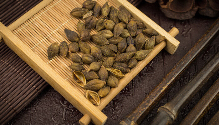 会粘在衣服上的植物叫什么 很容易粘在衣服上的植物叫什么，会粘衣服的植物