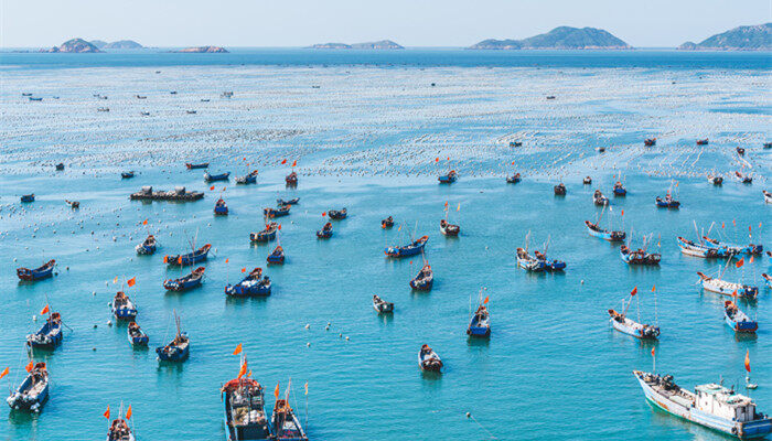 中国舟山渔场建在上升还是下降流 舟山渔场上升流还是下降流