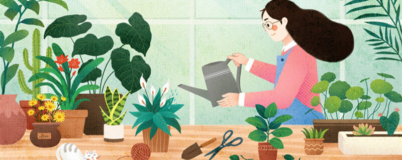 嫩叶为啥多呈红色 嫩叶为什么多呈红色