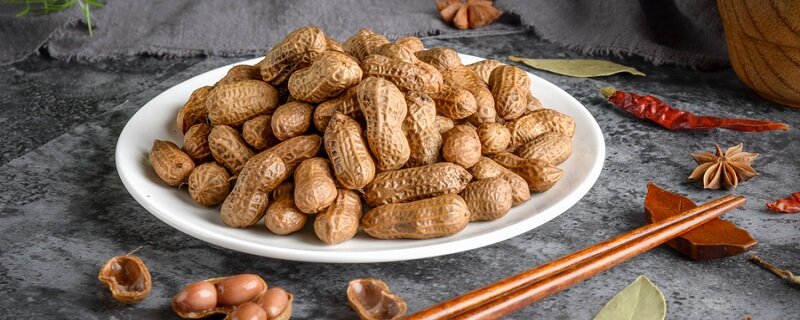 种子对植物有什么意义 植物产生种子的意义