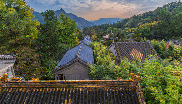 潭柘寺银杏树多少年 潭柘寺银杏树有多少年历史