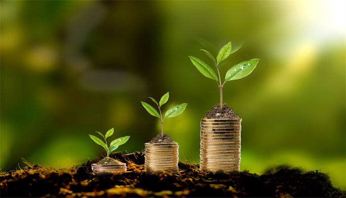 种子萌发的必要条件 种子萌发的必要条件是具有什么