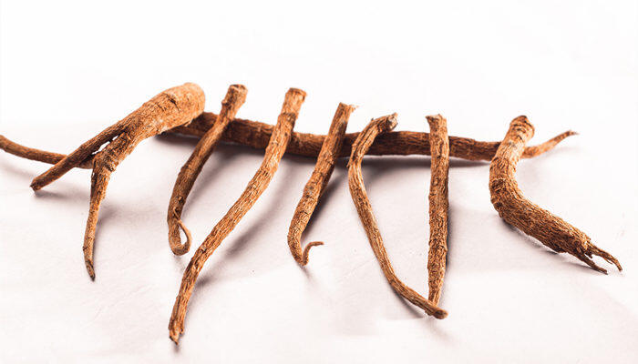 龙根是哪个部位 龙根有什么特征