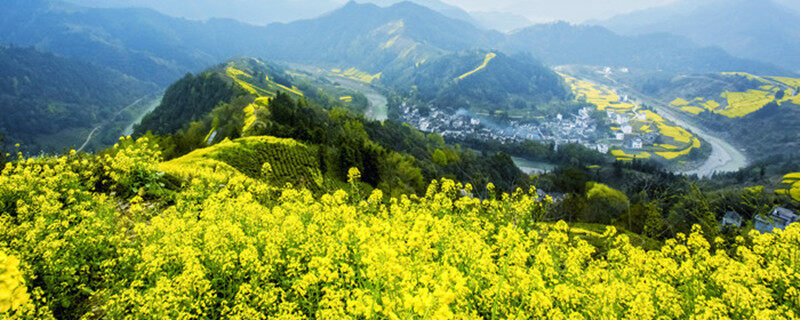 摄图网_500785659_banner_山村的春天(企业商用).jpg 摄图网_500785659_banner_山村的春天(企业商用).jpg