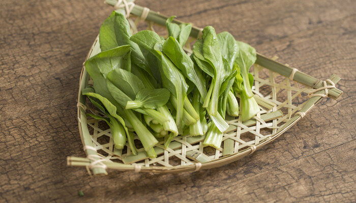 摄图网_500866769_banner_绿色蔬菜鸡毛菜(企业商用)_副本.jpg 摄图网_500866769_banner_绿色蔬菜鸡毛菜(企业商用)_副本.jpg