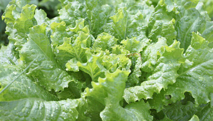 ISS_14924_04314.jpg ISS_14924_04314.jpg