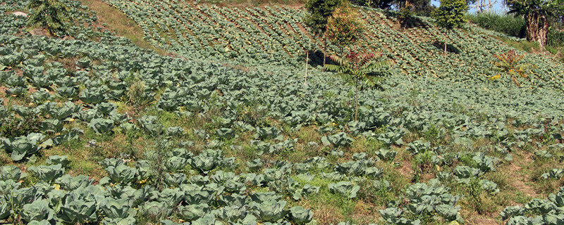 iss_5146_18257.jpg iss_5146_18257.jpg