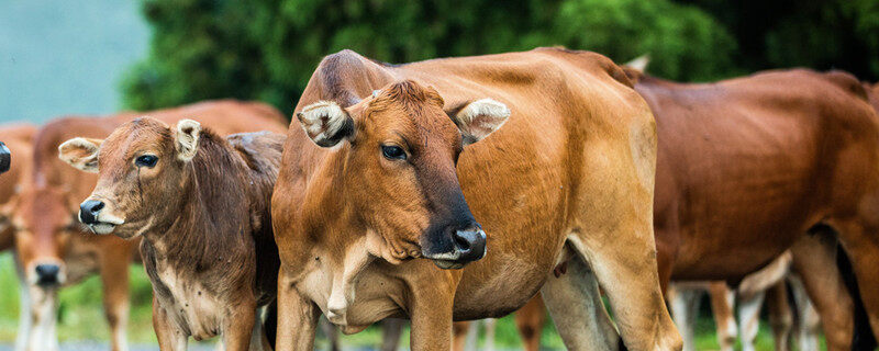 1_副本.jpg 1_副本.jpg