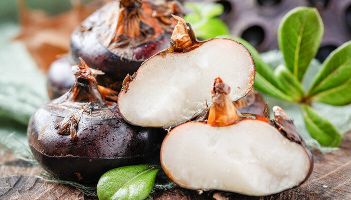 马蹄种植方法和时间 马蹄种植方法以及时间