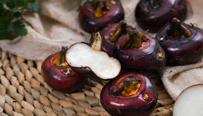 马蹄种植方法和时间 马蹄种植方法以及时间