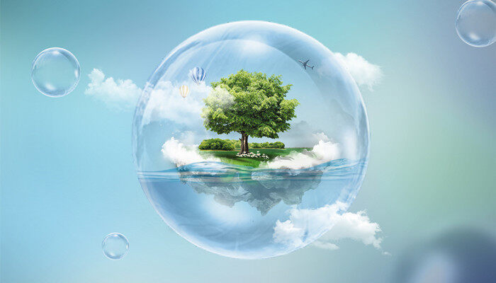 番泻叶是什么植物上的叶子 番泻叶生长在什么地方