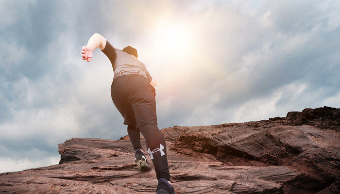 LULU猪是哪国的 LULU猪是什么 