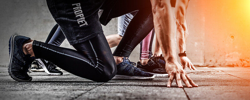 LULU猪是哪国的 LULU猪是什么 