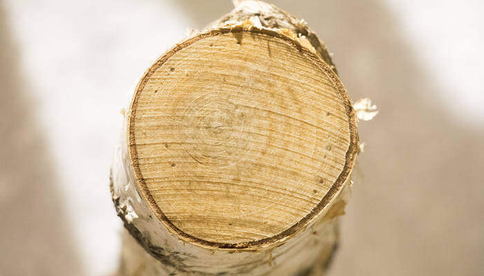 gogo体育木材种类(图2)