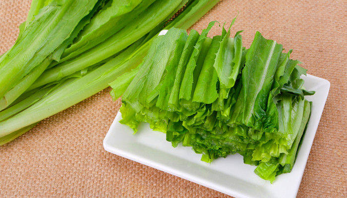 摄图网_500499209_油麦菜（企业商用）.jpg