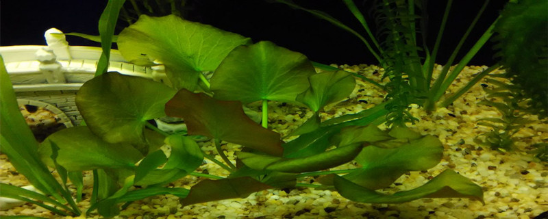 895c9cd769192073d25f974c679b22f0_副本.jpg 895c9cd769192073d25f974c679b22f0_副本.jpg