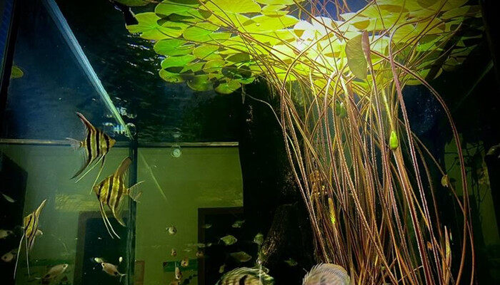 1a936149fcbaab0407c39a01b3e470b4_副本.jpg 1a936149fcbaab0407c39a01b3e470b4_副本.jpg