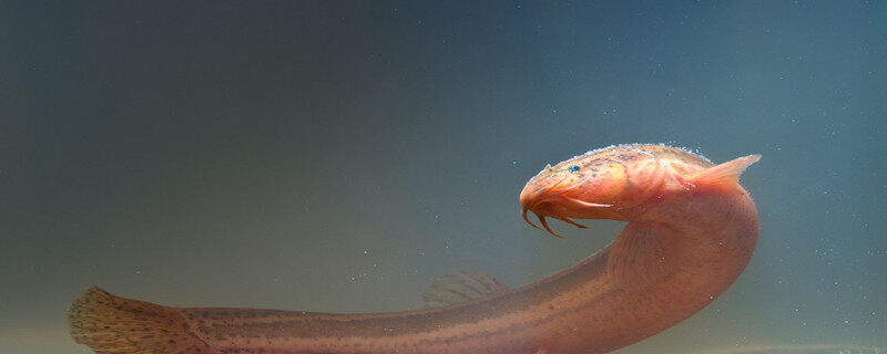 699pic_0arv1l_xy.jpg 699pic_0arv1l_xy.jpg