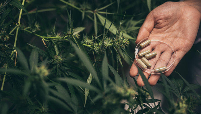 摄图网_301822893_在医学实验中用生产草药（企业商用）.jpg