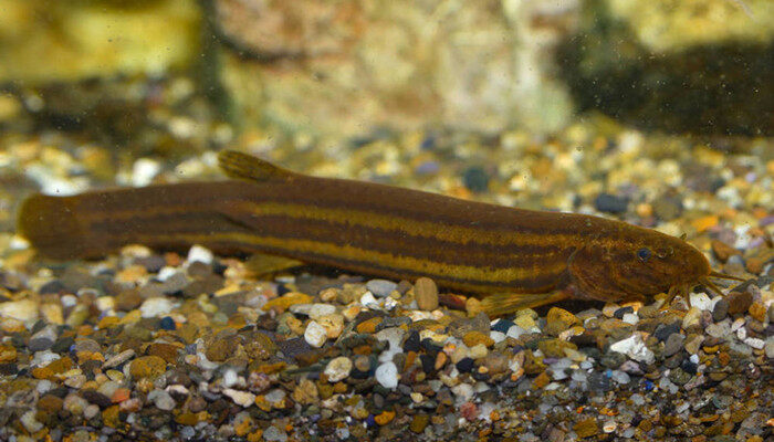 699pic_026mgy_xy.jpg 699pic_026mgy_xy.jpg