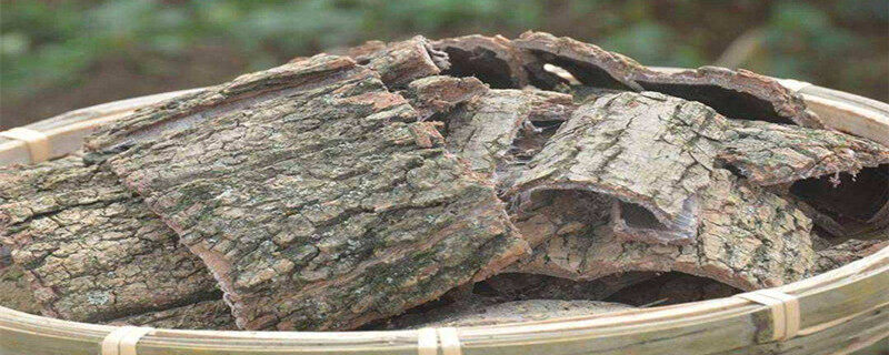 2865355d0d5df03cd487928002c966ae.jpg 2865355d0d5df03cd487928002c966ae.jpg