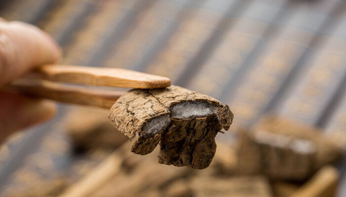 c79719fd58e43316b05494f733155a29.jpg c79719fd58e43316b05494f733155a29.jpg