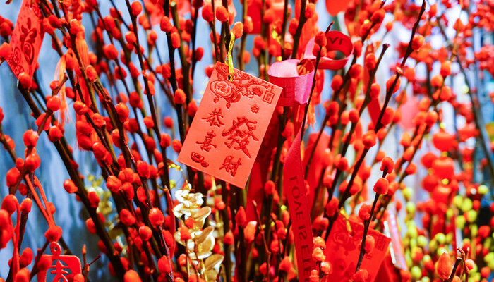 摄图网_501718089_银柳上的红包(企业商用)_副本.jpg 摄图网_501718089_银柳上的红包(企业商用)_副本.jpg