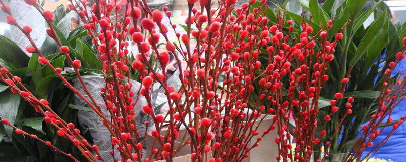 5ff80123471f1a70ef15a04112823b0f_副本.jpg 5ff80123471f1a70ef15a04112823b0f_副本.jpg