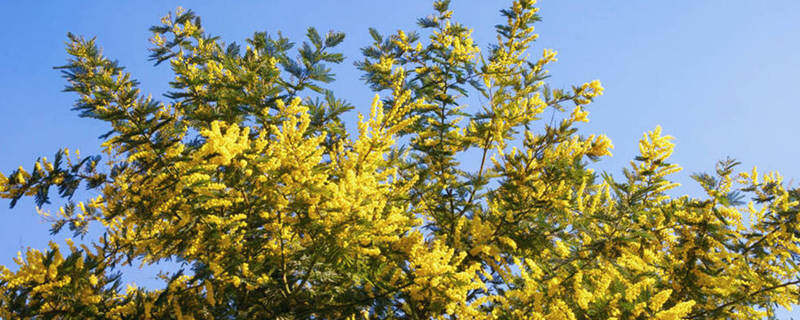 699pic_2mr956_xy.jpg 699pic_2mr956_xy.jpg