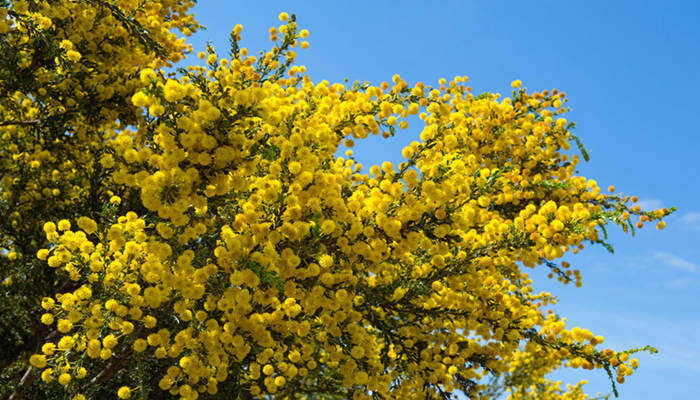 699pic_0bnrsw_xy.jpg 699pic_0bnrsw_xy.jpg