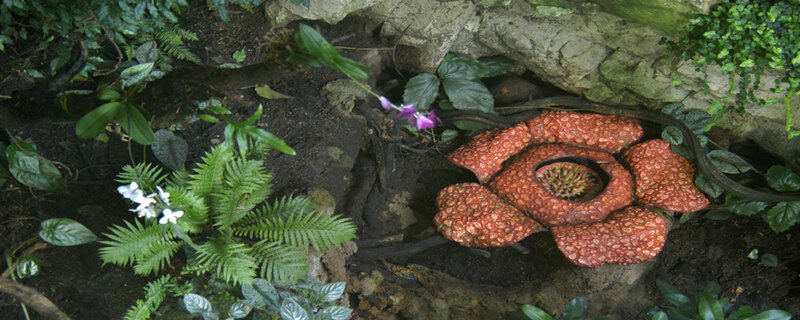 699pic_08er9a_xy.jpg 699pic_08er9a_xy.jpg