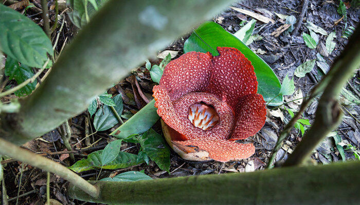 699pic_071w01_xy.jpg 699pic_071w01_xy.jpg