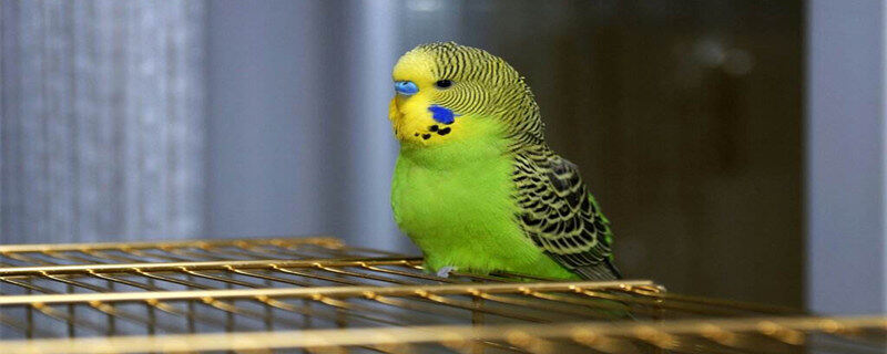 fb81a5736a2022f72a38b5892b09239f.jpg fb81a5736a2022f72a38b5892b09239f.jpg