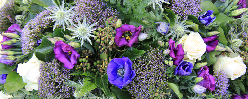攝圖網_306821011_白色紫和藍的花安排（企業商用）.jpg