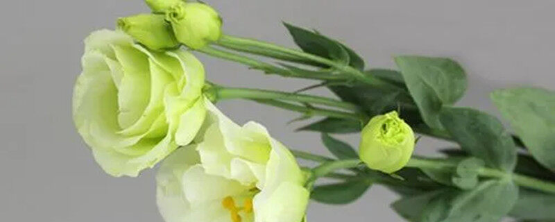 4ff2274e6e83c26ea27bb806bff73d7.jpg 4ff2274e6e83c26ea27bb806bff73d7.jpg