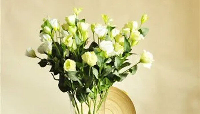 2330931437a7cfe722f676909f2fb84.jpg 2330931437a7cfe722f676909f2fb84.jpg