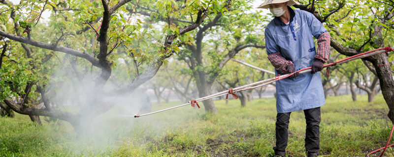 摄图网_500789438_banner_果园中害虫预防除虫（企业商用1）_副本.jpg