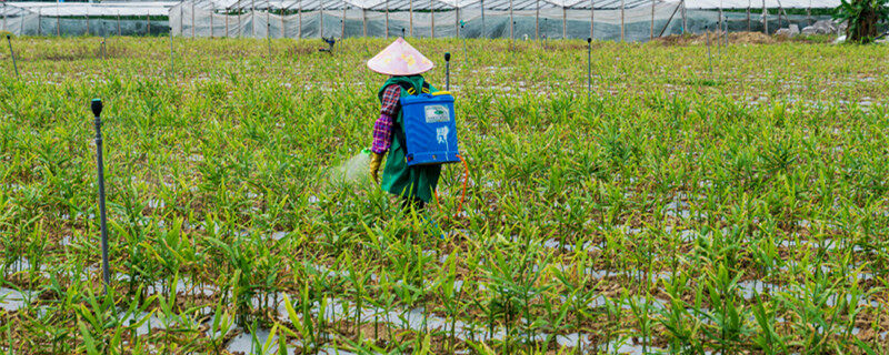 摄图网_501609288_banner_田地里劳作喷洒农药的农民（企业商用1）_副本.jpg