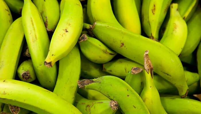 香蕉2.jpg