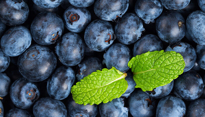 蓝莓是啥1.jpg
