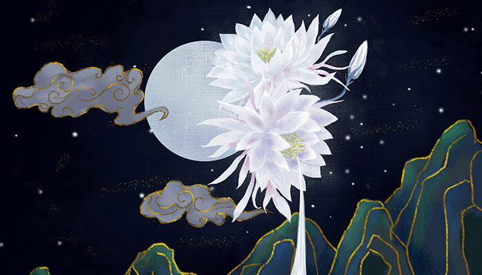 昙花700-1.jpg 昙花700-1.jpg