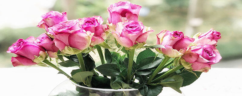 植物花8.jpg