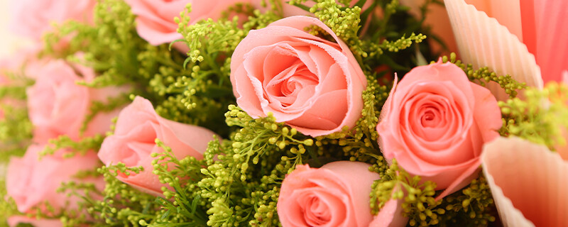 玫瑰花808.jpg