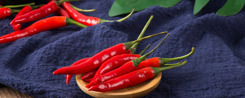 辣椒(1).jpg
