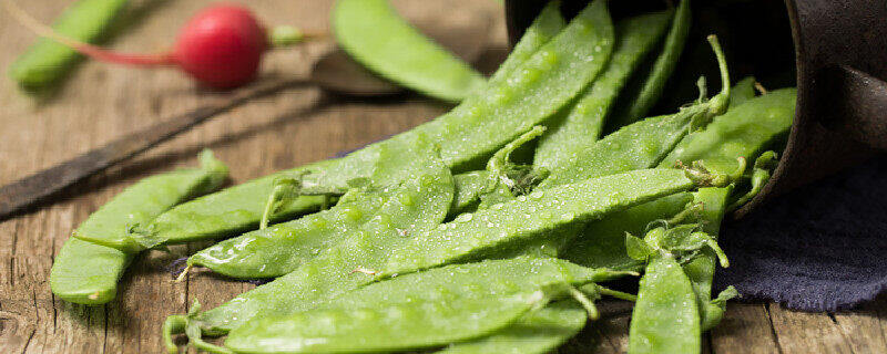 荷兰豆.jpg 荷兰豆.jpg